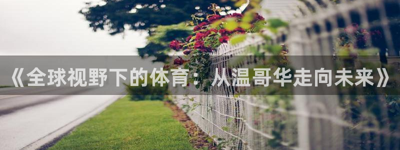 k球体育直播app下载安装：《全球视野下的体育：从温哥华走向未来》
