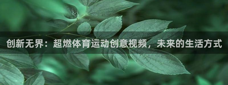 k球体育直播：创新无界：超燃体育运动创意视频，未来的生活方式